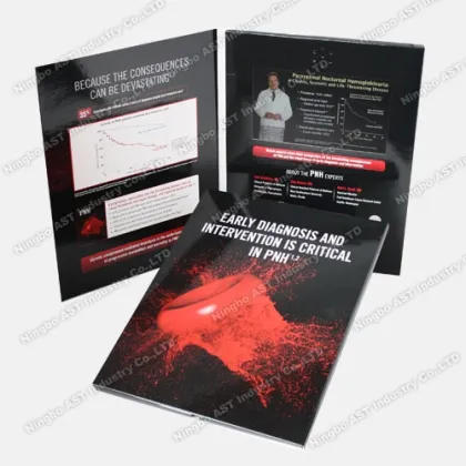 MP4 Player Brochure Advertising Player Advertising Player