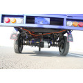 electric cargo tricycle for farmer and agriculutural using