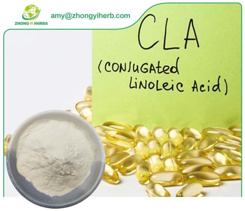 Cla Conjugated Linoleic Acid คุณภาพสูง Cla Conjugated Linoleic Acid บน ...