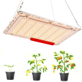 /msite/products/detail/productid/58292262/id/679434.html