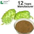 Premium Spray Dried Noni Fruit Powder Natural