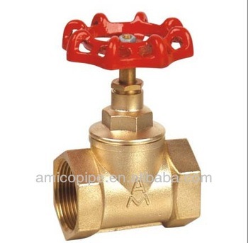 Amico forged brass stop check Valve