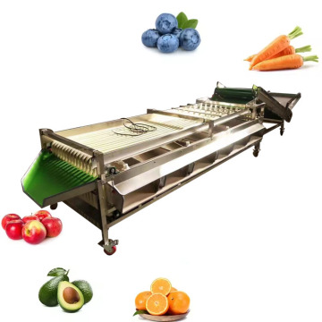 Apricot Coconut Citrus Sour Cherry Fruit Plum Size Sorting Machine for Mangosteen