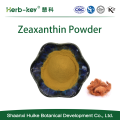 암 예방 60% Zeaxanthin 옥수수 낙인 추출물