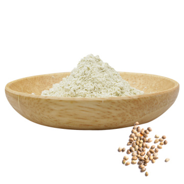 Plant Protein Cold-Pressed Raw Hemp Seed Protein Powder