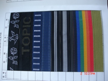 TMW05 Webbing