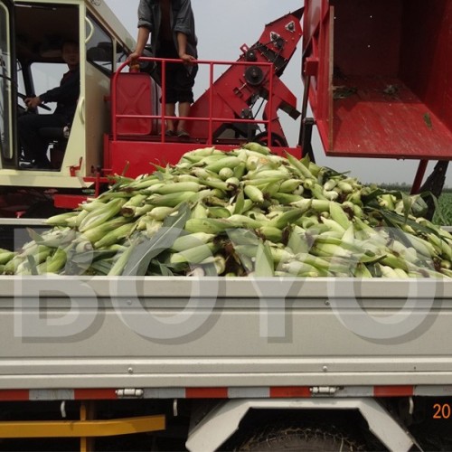 Ears of corn Harvester Machine