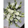 সাদা Lisianthus উচ্চ মানের বিবাহের তাজা ফুল