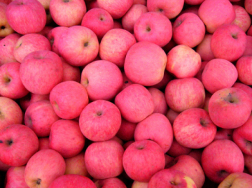 2014 Superior Quality FUJI Apple (SGS Certificate)