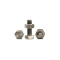 HEX HEAD BOLT WITH NUT