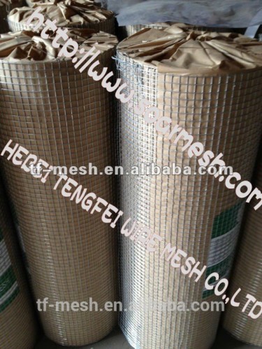 Wholesale China galvanized iron welded wire mesh( ISO 9001)