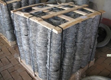 Galvanized Barbed Wire