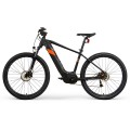 Customized Big Tire Electric Bike