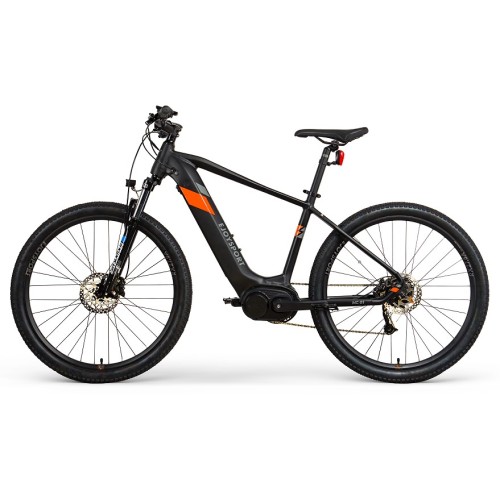 Individuelles Big Tire Electric Bike