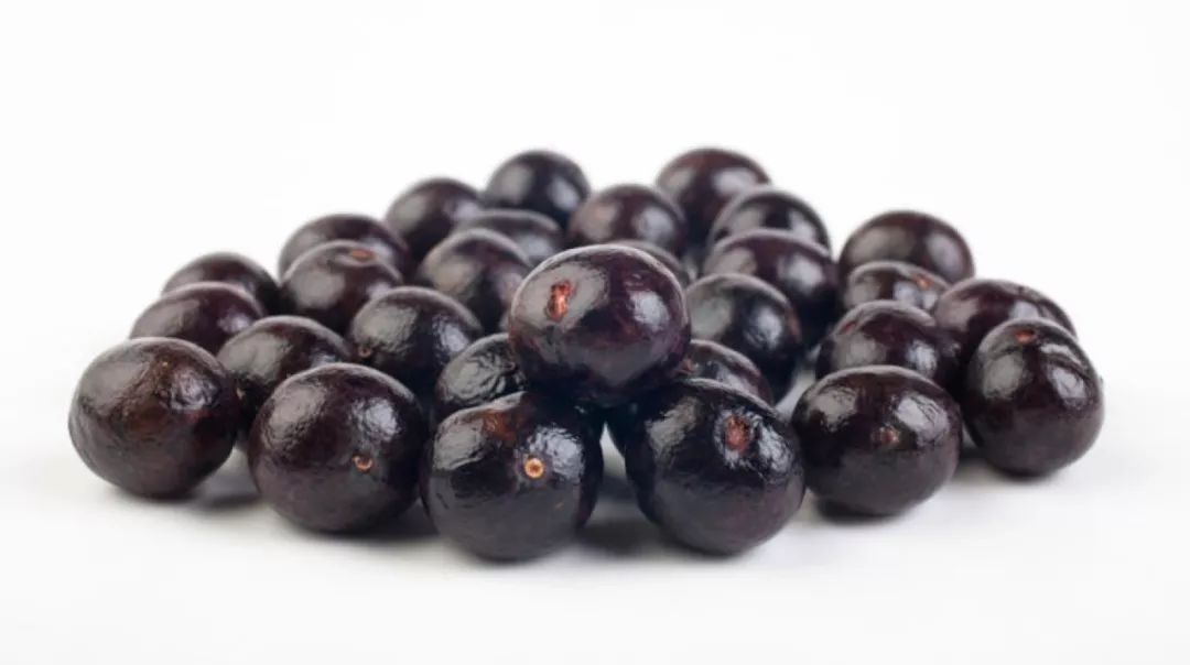 Maqui berry powder