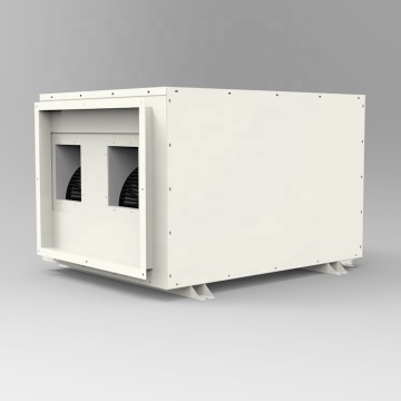 Airkreo Hot Sale Industrial Gabinghouse Entfumidifier 240L/Tag