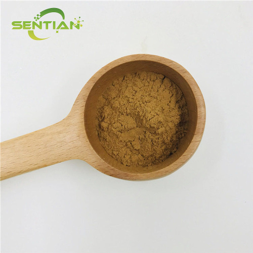 Premium Echinacea Extract