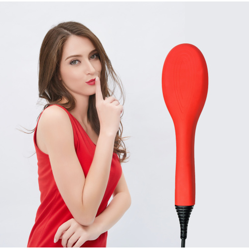 Hair Straightener Heated Brush
