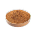 organic shiitake mushroom extract powder bulk