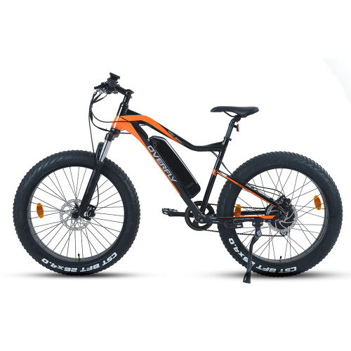 XY-WARRIOR-W best value Electric mountain bike