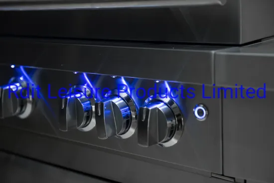 6b High Quality Stainless Steel BBQ Gas Grill with Electric LED Knob