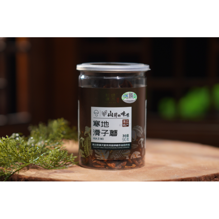 Delicioso cogumelo seco e escorregadio