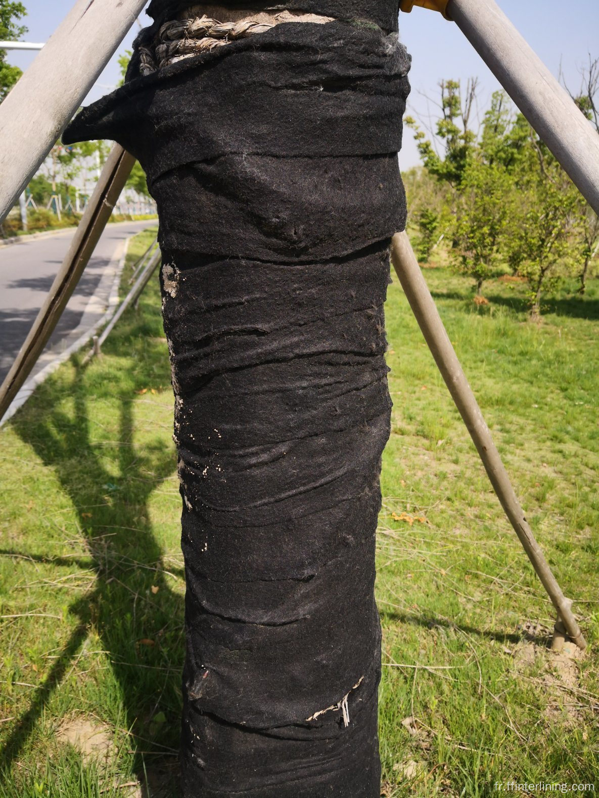 Fabricant non tissé en tissu protection contre le givre pour les plantes