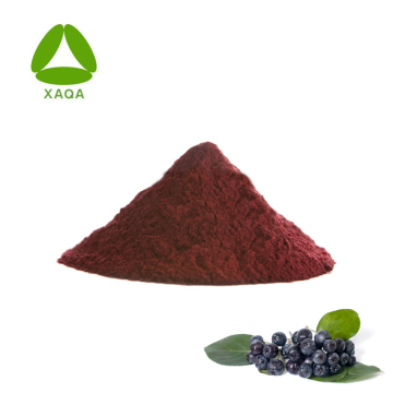 Superfood Freeze Dried Aronia Chockberry Fruit 99% Powder