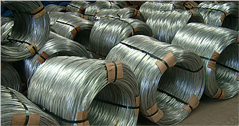Galvanized Iron Wire (DYU)