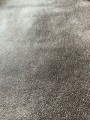 Poliéster spandex de gamuza con tela recubierta para el invierno de dama