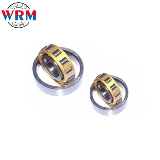 Cheapest Cylindrical Roller Bearing N1006