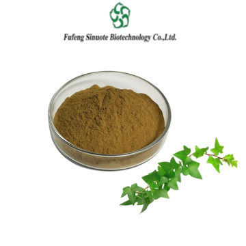 Pure IVY Leaf Extract for Optimal Lung Function and Vitality