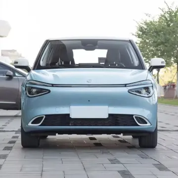 Electric Mini Car Dongfeng 2024 430 Plus