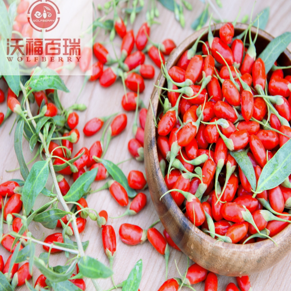 Wolfberry / Lycium Barbarum / Venta caliente Goji Berry