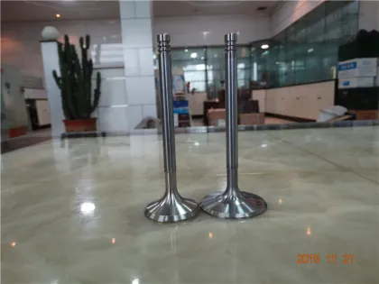 NISSAN Auto Engine Valve Part