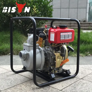 BISON(CHINA) electric water pumps, water pump 15hp, water pump wp30