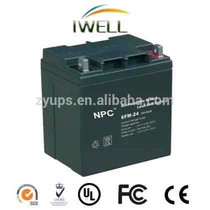 IWELL brand NPC series VRLA Lead Acid Battery 12v 24ah