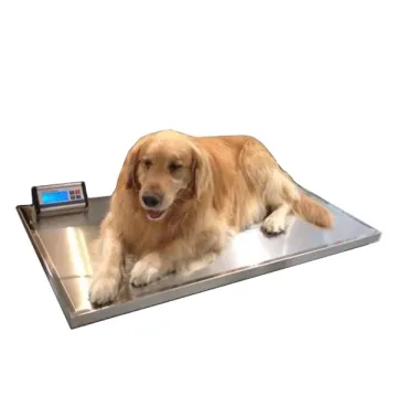 Best Price Digital Pet Weighing Scale for Large Animals - YSVET-TZC150