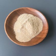 廃水処理のための硝化細菌