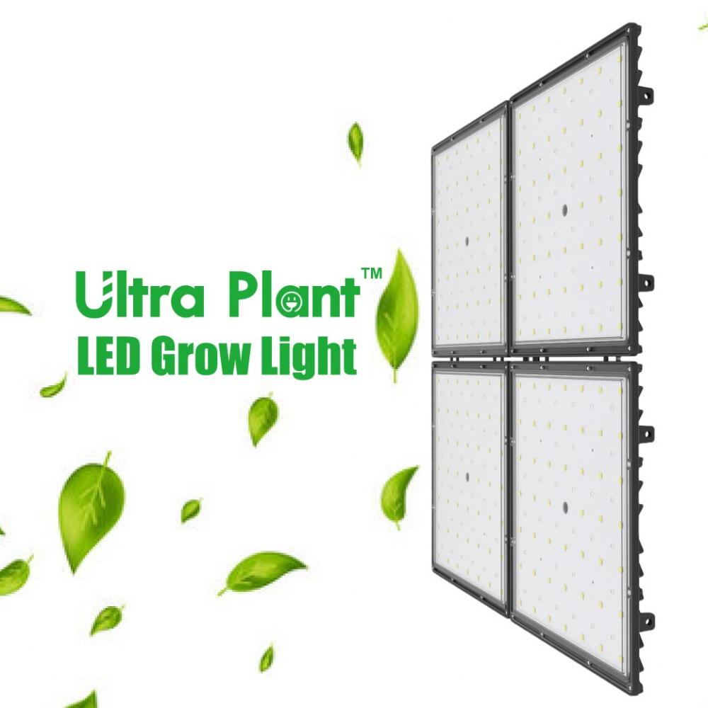 Eco-friendly LED Grow Light 300 Wattage