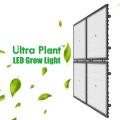 Full Spectrums 300W LED Grow nhẹ trong nhà Grow