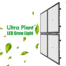 Luz de cultivo LED ecológica de 300 vatios