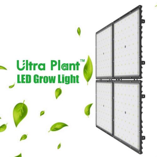 Luz de cultivo LED ecológica de 300 vatios