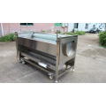 Larger Brush Potato Washing and Peeling Machine