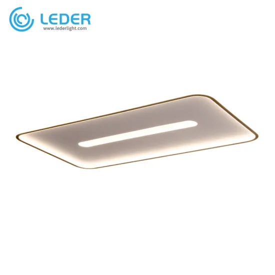 LEDER Led Simple Ceiling Lights