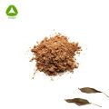 Female Healthcare 10:1 Labisia Pumila Extract Powder