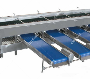 Industrial Onion Grading Machine According to size