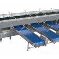 Fresh Lemon Grading Machine for fruit sales