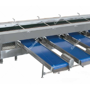 Industrial Onion Grading Machine According to size