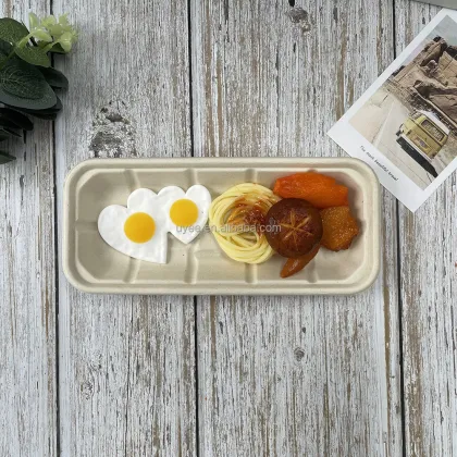 Ok Compost Sugarcane Pulp Biodegradable Food Tray